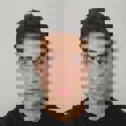 Michael Adlerstein