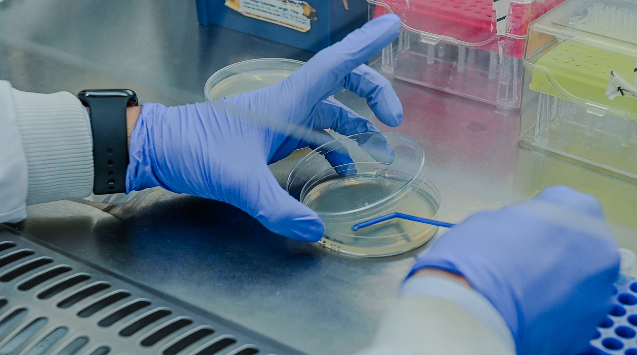 Green hydrogen research in the lab