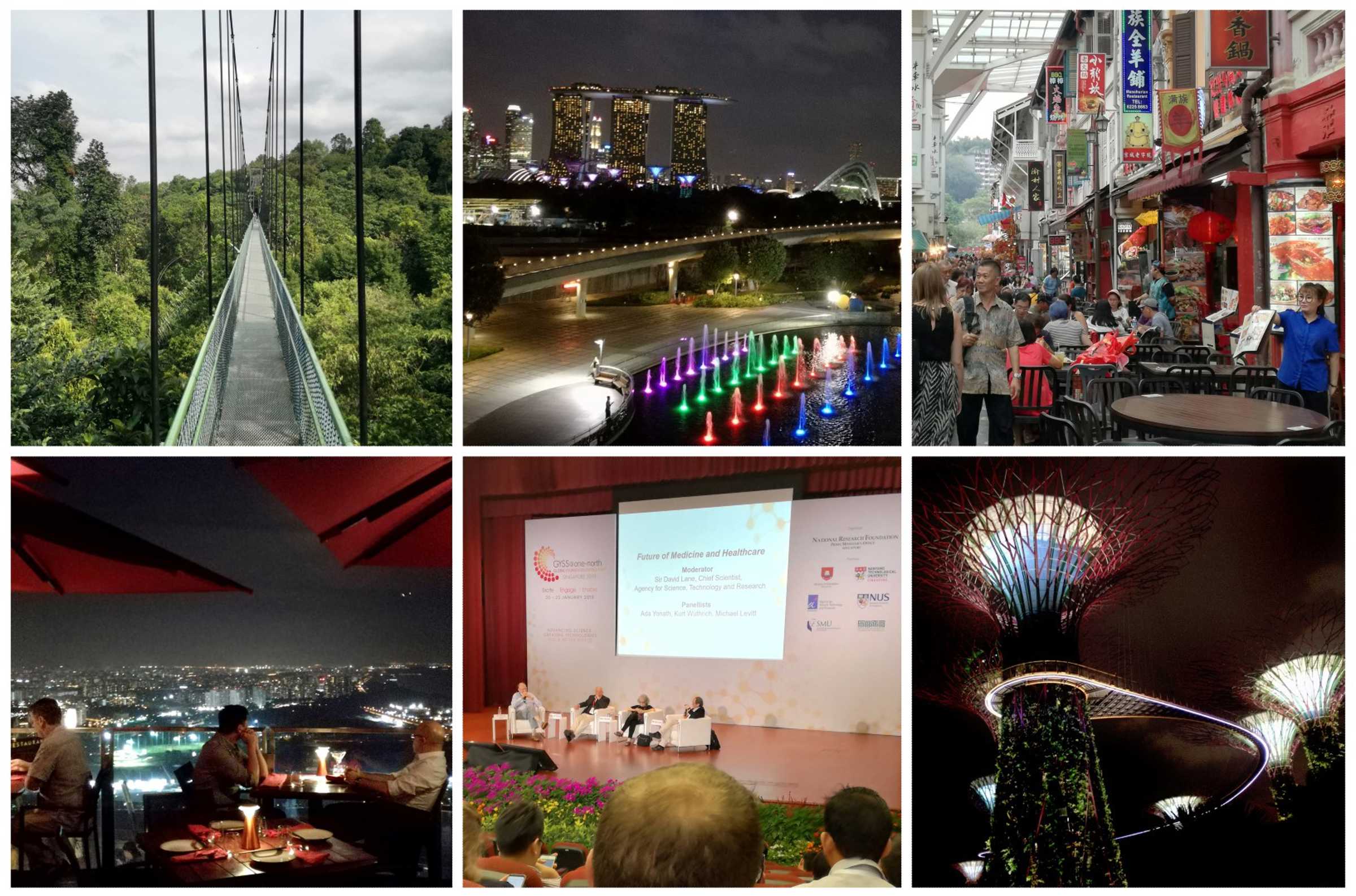 Composite image of attractions in Singapore