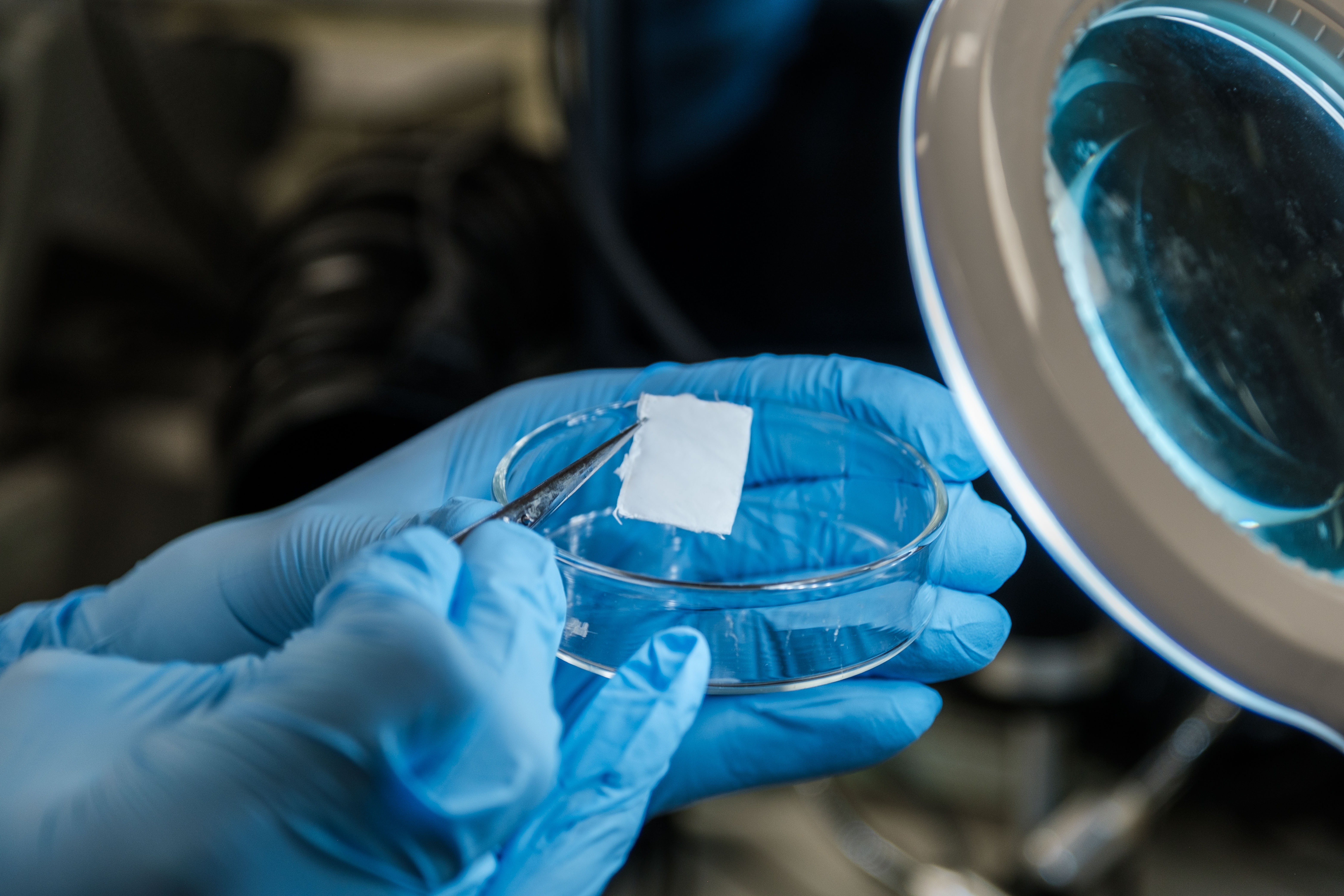 the sample Matthew is working on, in his hands held over petridish