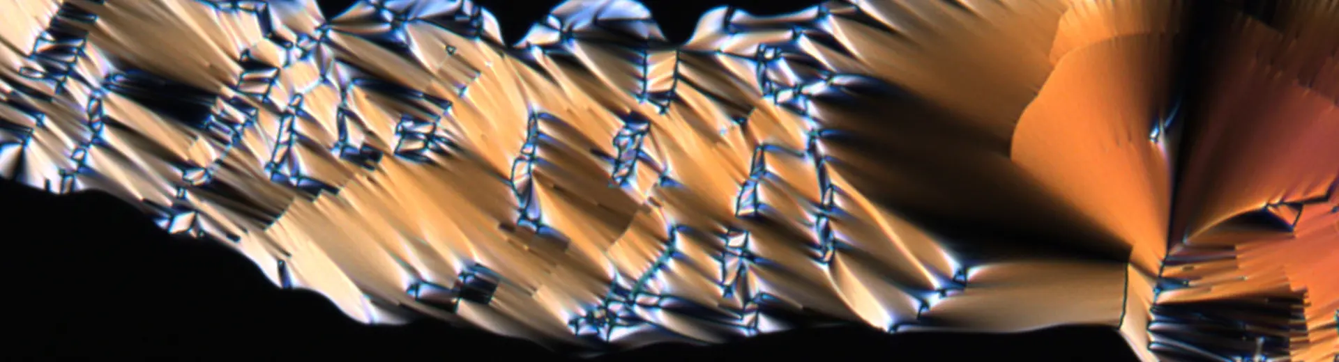 British Liquid Crystal Society Banner