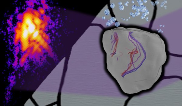 An artistic impression of the experiment: 3D rendering of the micro-scale stainless steel grain investigated in this study showing the evolution of defects inside it with time (early – blue lines, later – red lines). 