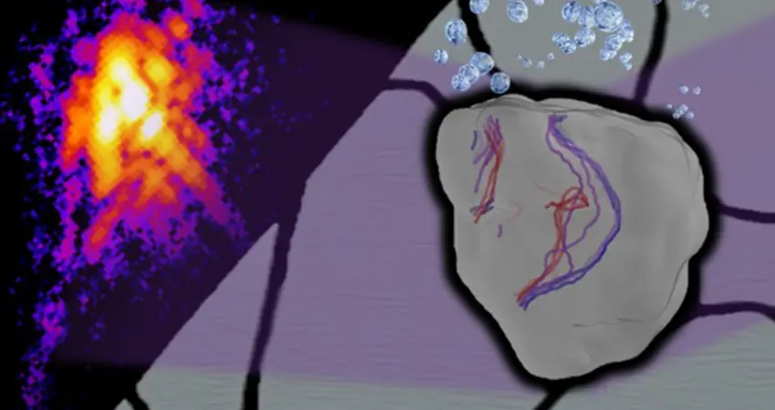 An artistic impression of the experiment: 3D rendering of the micro-scale stainless steel grain investigated in this study showing the evolution of defects inside it with time (early – blue lines, later – red lines).