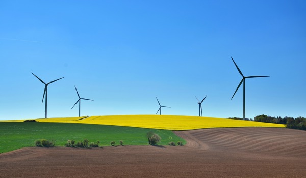 Wind turbines in a field against a blue sky