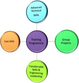 REMS programme structure