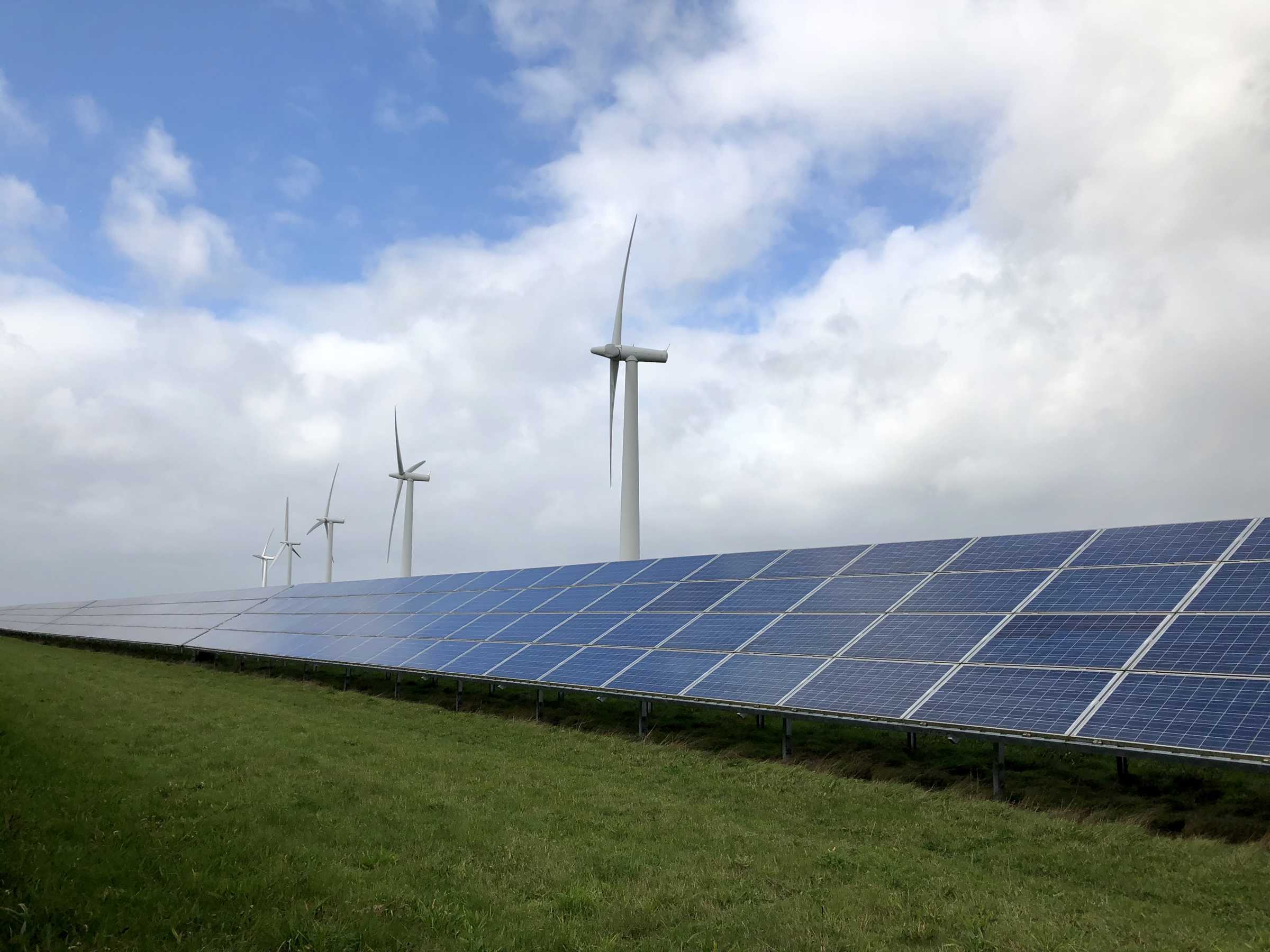 Solar panels and wind turbines
